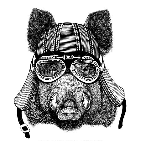 SCRC Wallachia - Grilovaka 2017